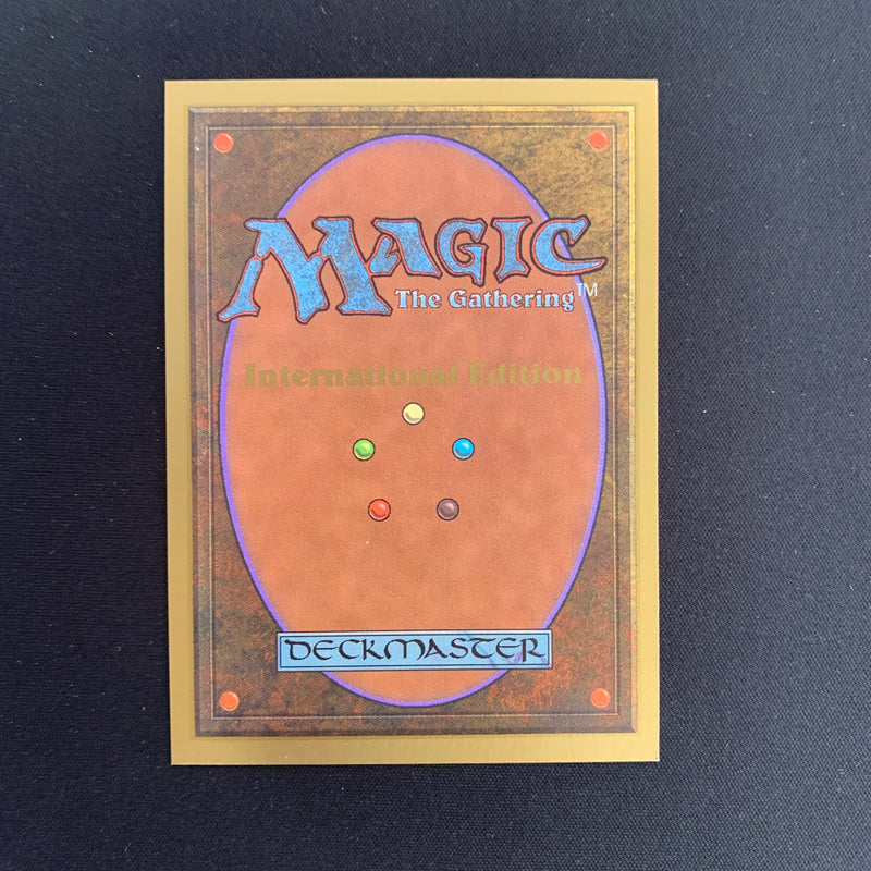 Magic the Gathering Tundra - International Edition 