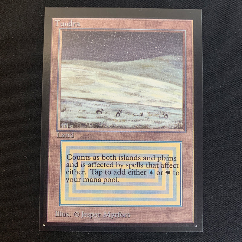 Magic the Gathering Tundra - International Edition 