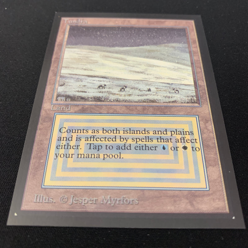 Magic the Gathering Tundra - International Edition 