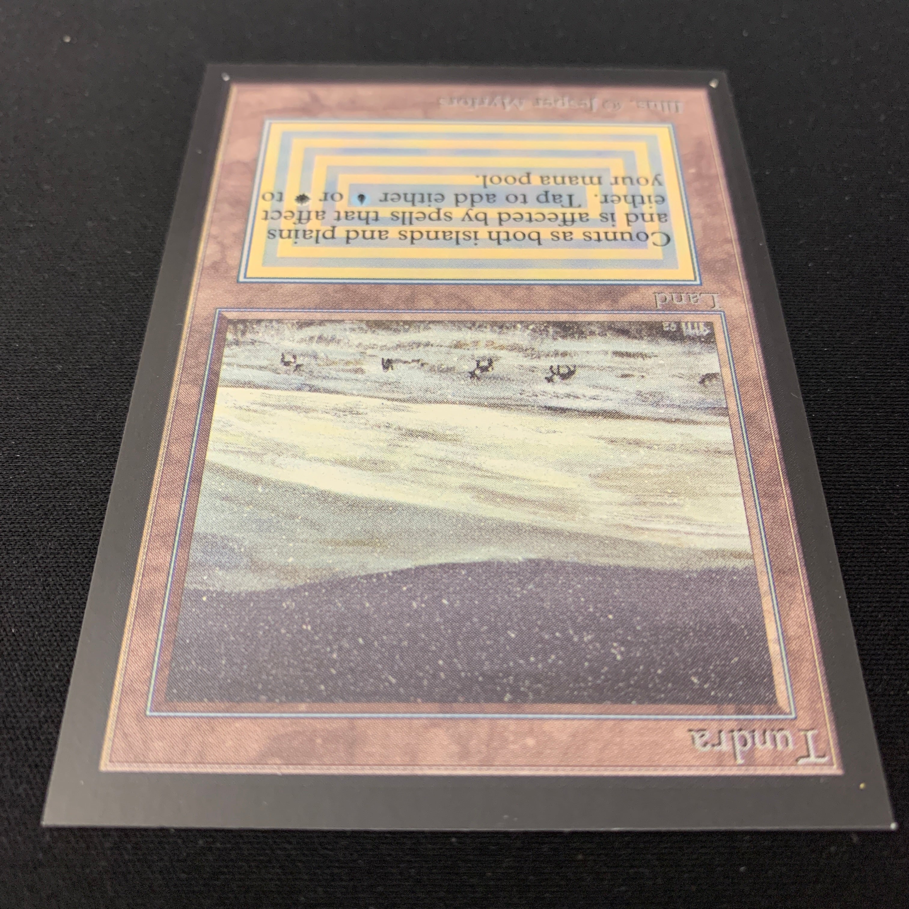 MTG Singles - Tundra - International Edition - 