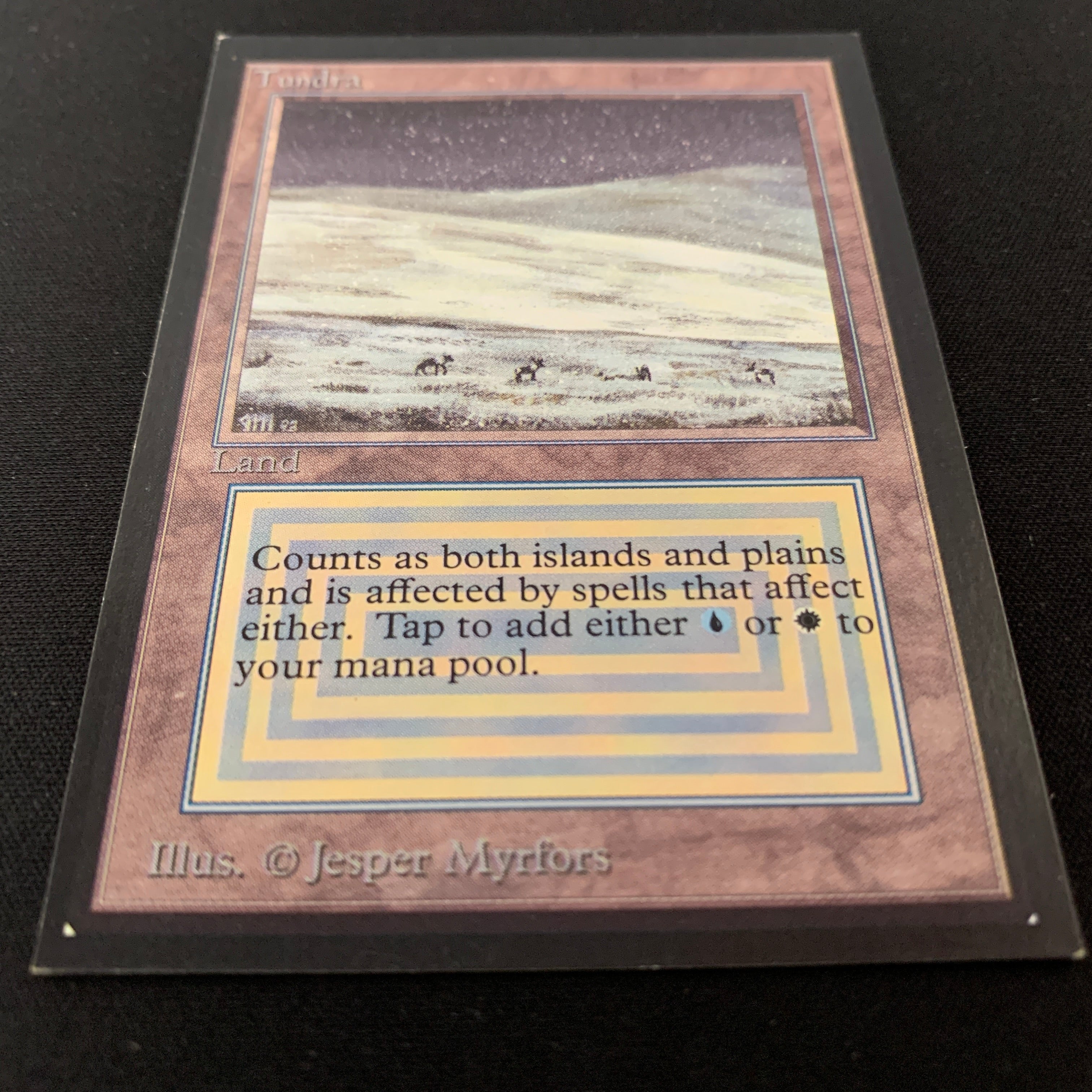 MTG Singles - Tundra - International Edition - 