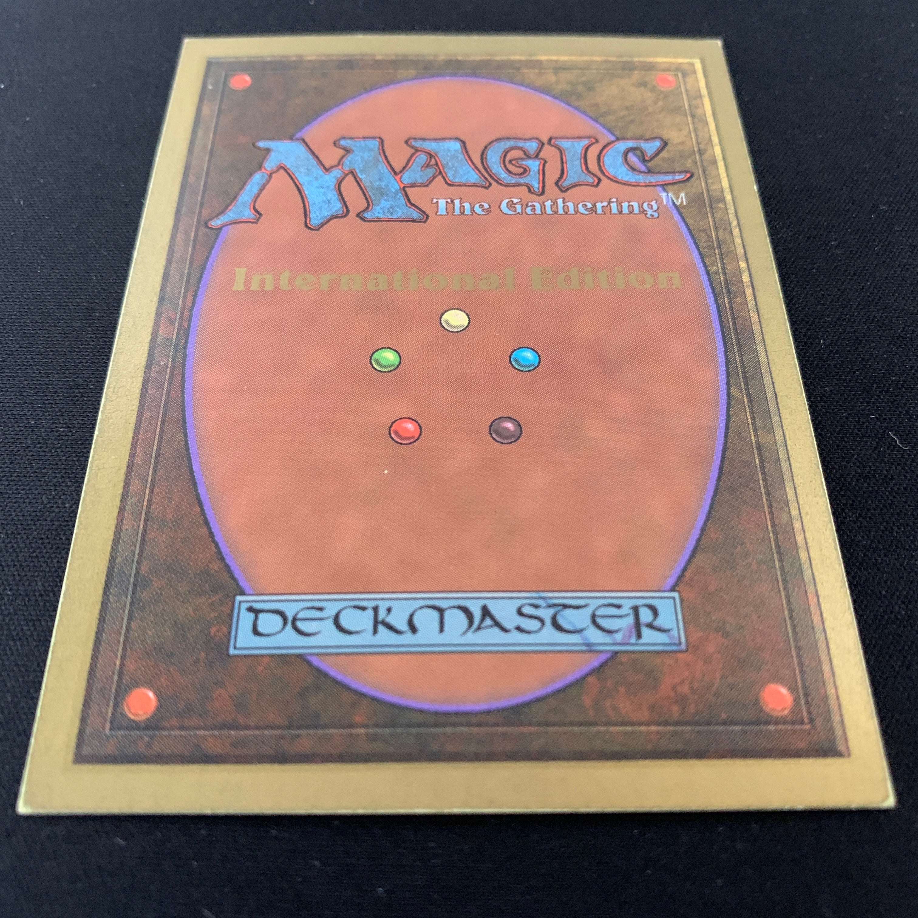 MTG Singles - Tundra - International Edition - 