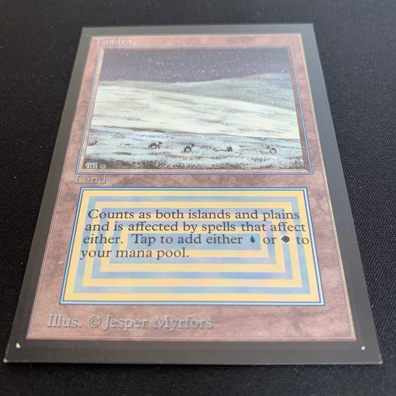 Magic the Gathering Tundra - International Edition 