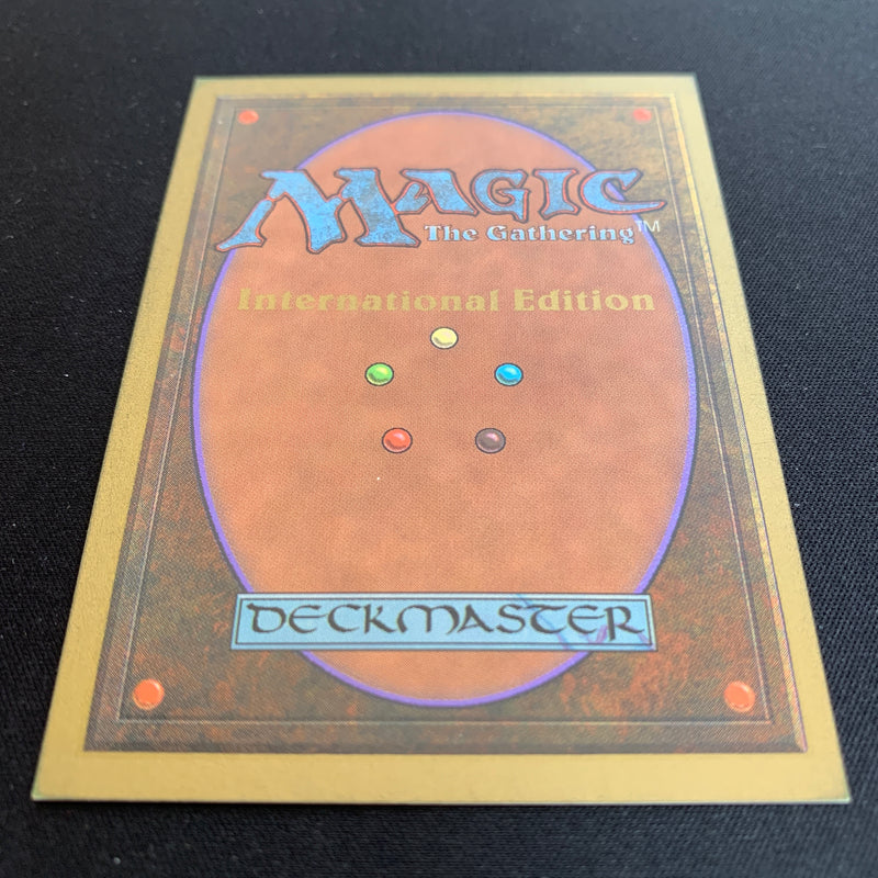 Magic the Gathering Tundra - International Edition 