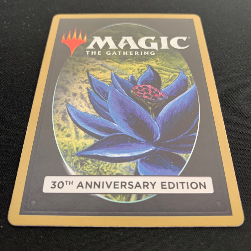 Magic the Gathering Tundra (Retro Frame) - 30th Anniversary Edition 