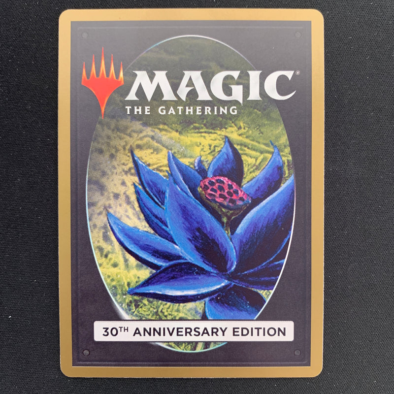 Magic the Gathering Tundra (Retro Frame) - 30th Anniversary Edition 