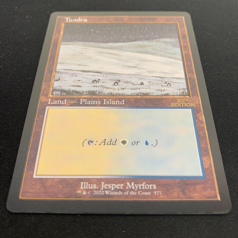 Magic the Gathering Tundra (Retro Frame) - 30th Anniversary Edition 