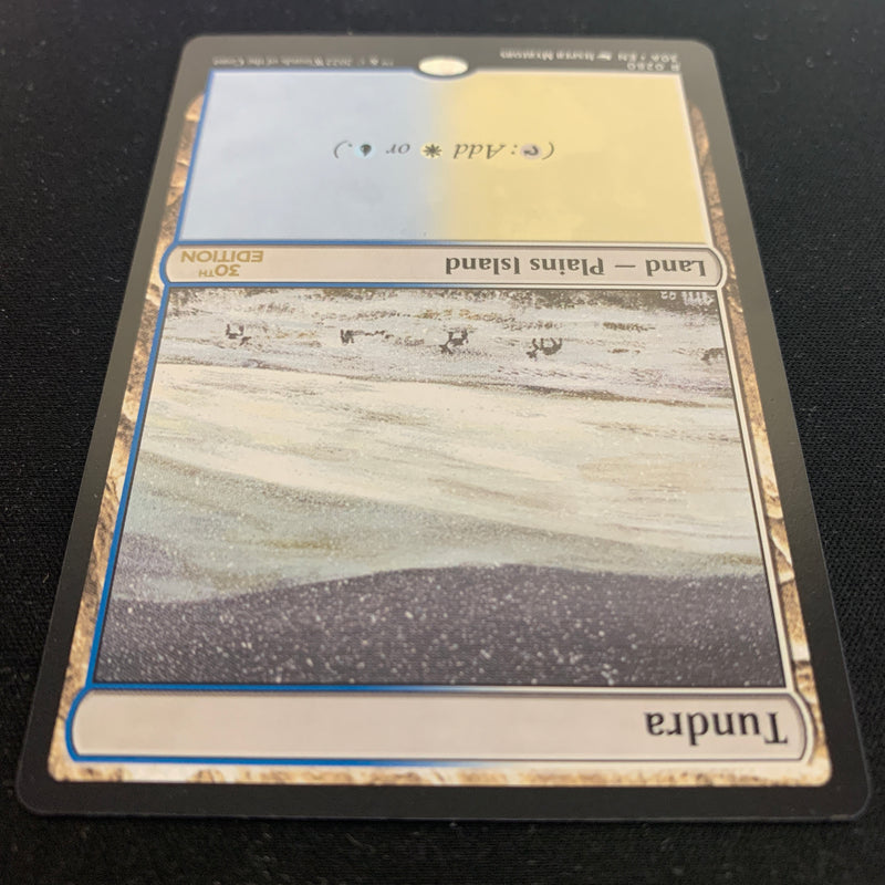 Magic the Gathering Tundra (Retro Frame) - 30th Anniversary Edition 