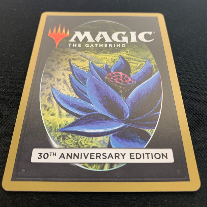 Magic the Gathering Tundra (Retro Frame) - 30th Anniversary Edition 