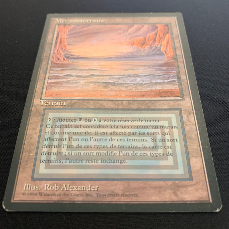 Magic the Gathering Underground Sea - Foreign Black Bordered - French 