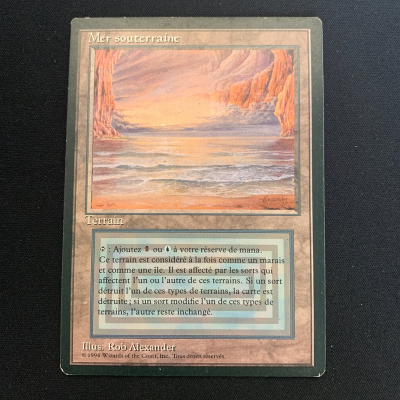 Magic the Gathering Underground Sea - Foreign Black Bordered - French 