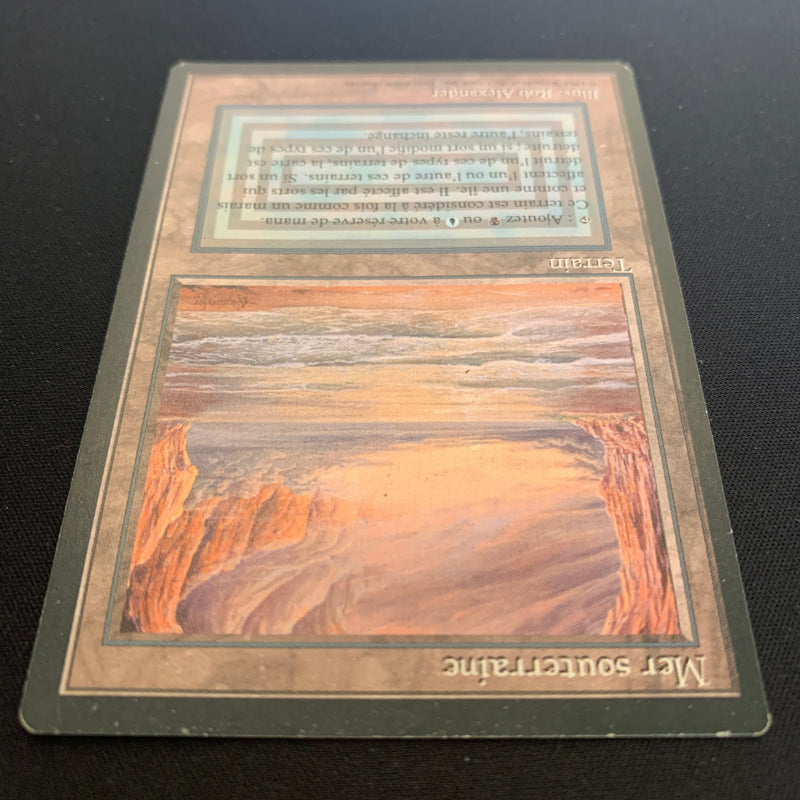 Magic the Gathering Underground Sea - Foreign Black Bordered - French 