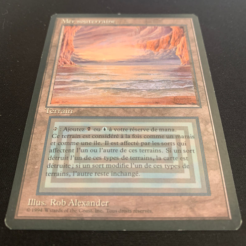 Magic the Gathering Underground Sea - Foreign Black Bordered - French 