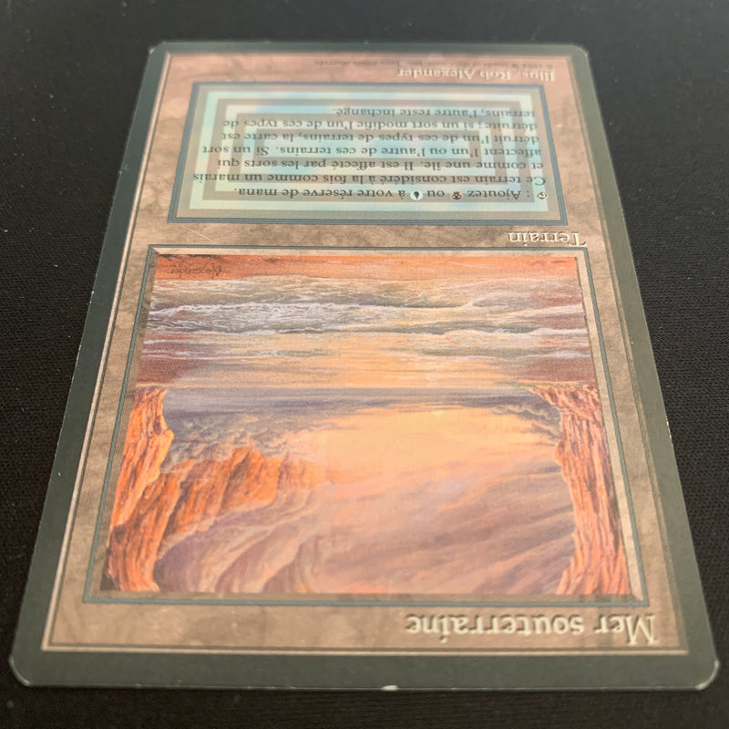 Magic the Gathering Underground Sea - Foreign Black Bordered - French 