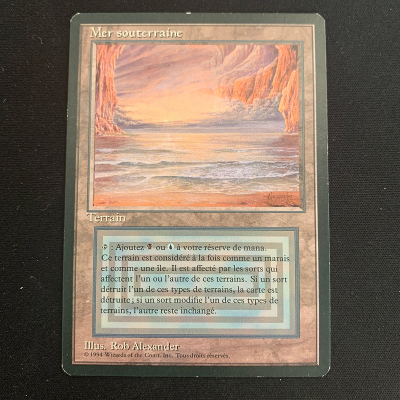 Magic the Gathering Underground Sea - Foreign Black Bordered - French 