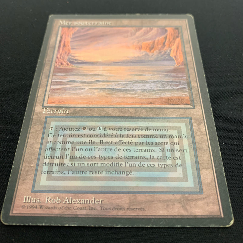 Magic the Gathering Underground Sea - Foreign Black Bordered - French 