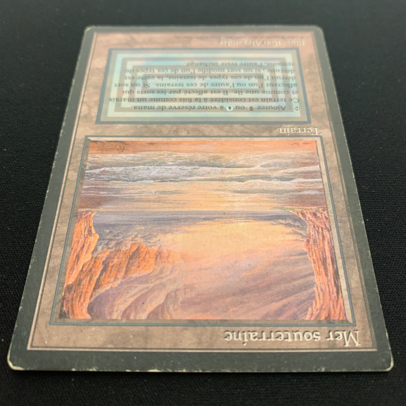 Magic the Gathering Underground Sea - Foreign Black Bordered - French 