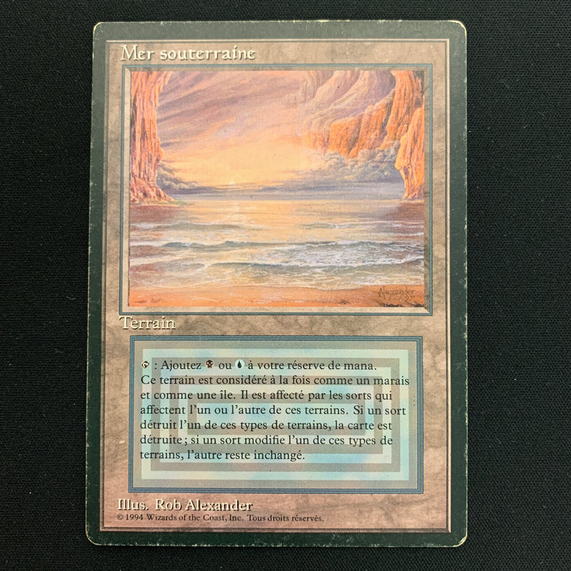 Magic the Gathering Underground Sea - Foreign Black Bordered - French 