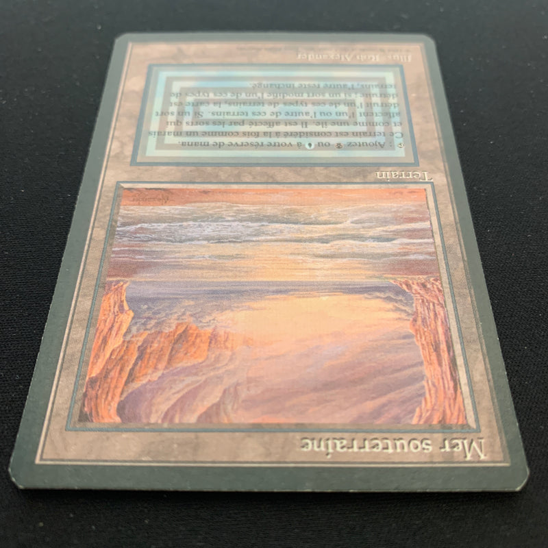 Magic the Gathering Underground Sea - Foreign Black Bordered - French 