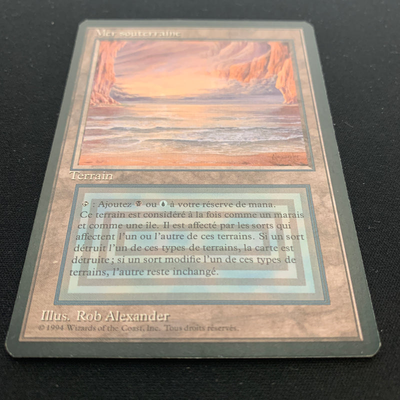 Magic the Gathering Underground Sea - Foreign Black Bordered - French 