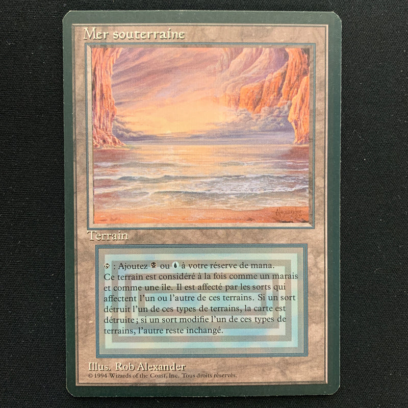 Magic the Gathering Underground Sea - Foreign Black Bordered - French 