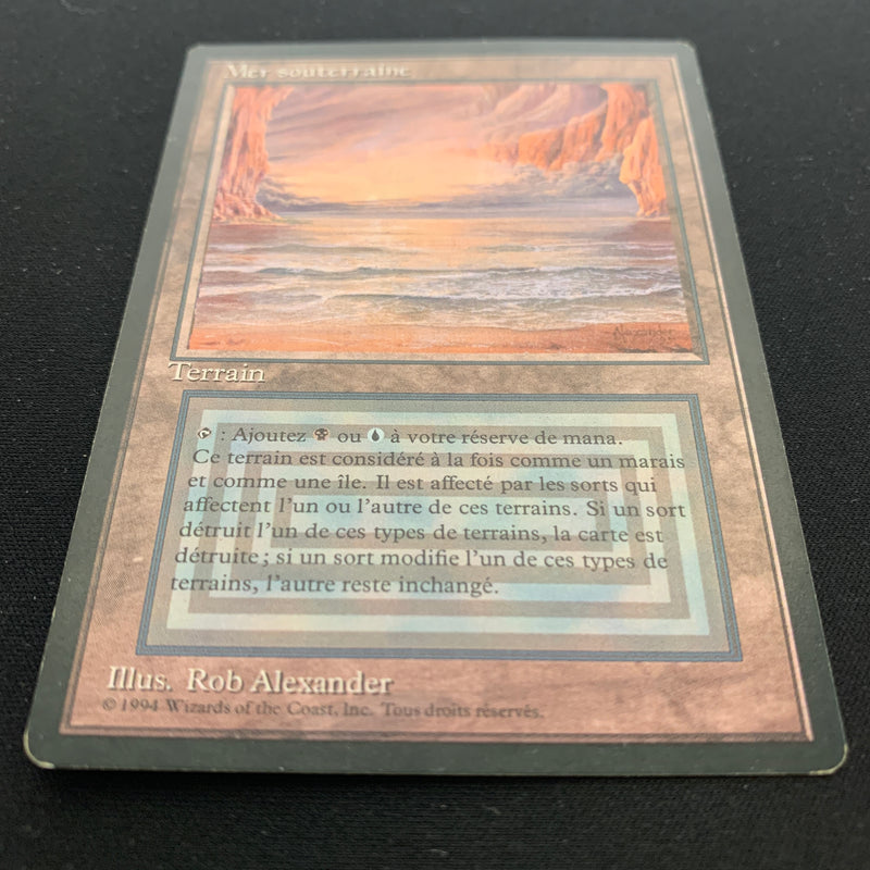 Magic the Gathering Underground Sea - Foreign Black Bordered - French 