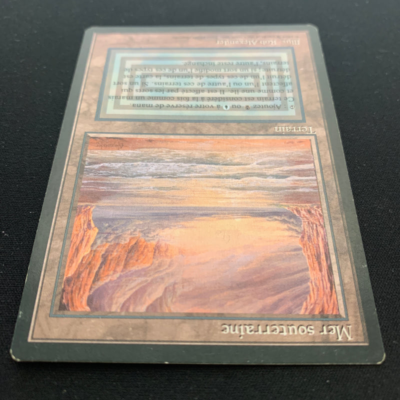 Magic the Gathering Underground Sea - Foreign Black Bordered - French 