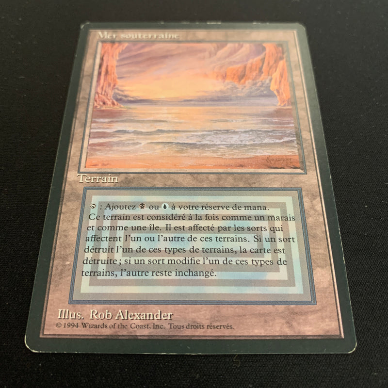 Magic the Gathering Underground Sea - Foreign Black Bordered - French 