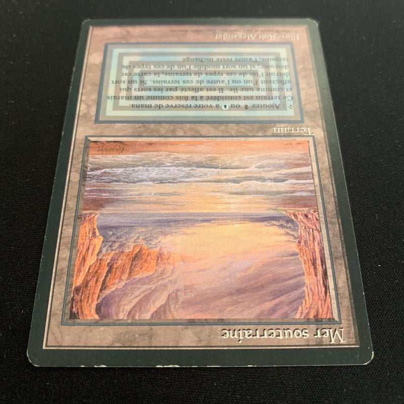 Magic the Gathering Underground Sea - Foreign Black Bordered - French 