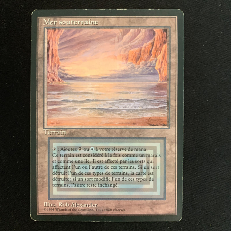 Magic the Gathering Underground Sea - Foreign Black Bordered - French 