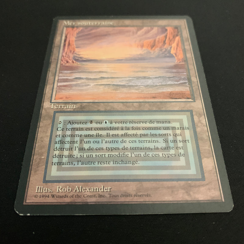 Magic the Gathering Underground Sea - Foreign Black Bordered - French 