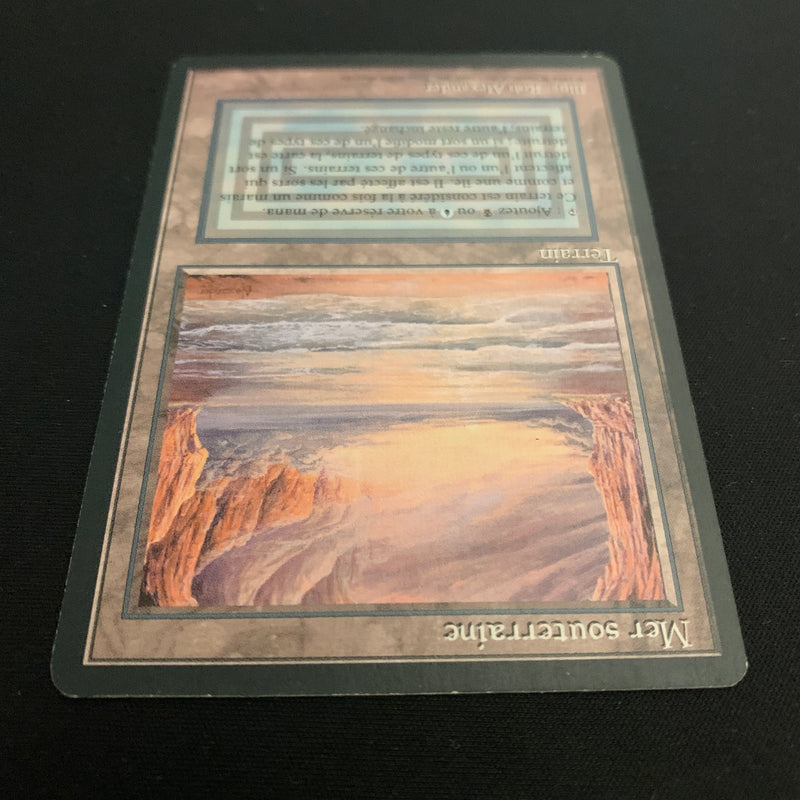 Magic the Gathering Underground Sea - Foreign Black Bordered - French 