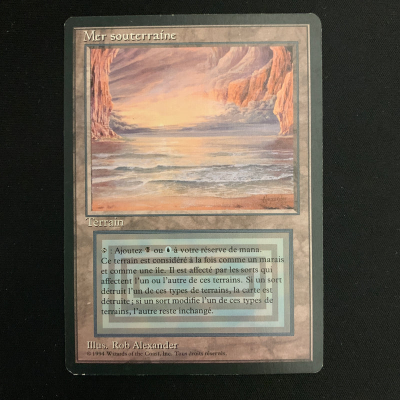 Magic the Gathering Underground Sea - Foreign Black Bordered - French 