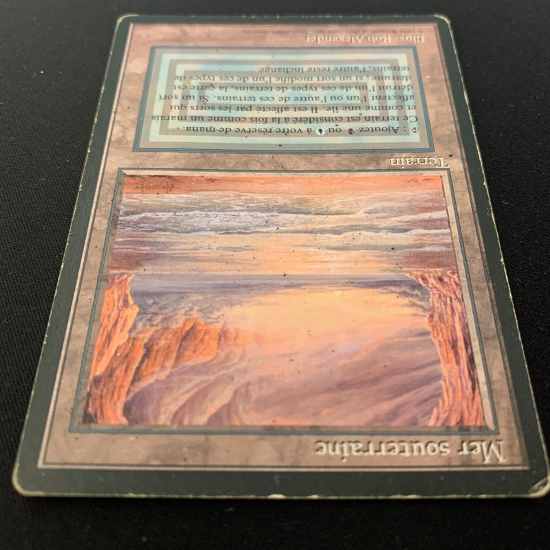 Magic the Gathering Underground Sea - Foreign Black Bordered - French 