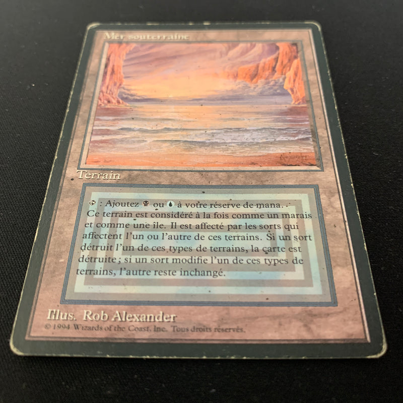 Magic the Gathering Underground Sea - Foreign Black Bordered - French 