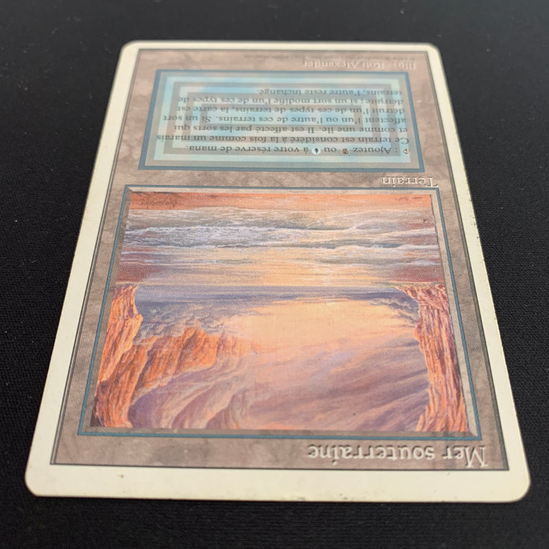 Magic the Gathering Underground Sea - Foreign White Bordered - French 