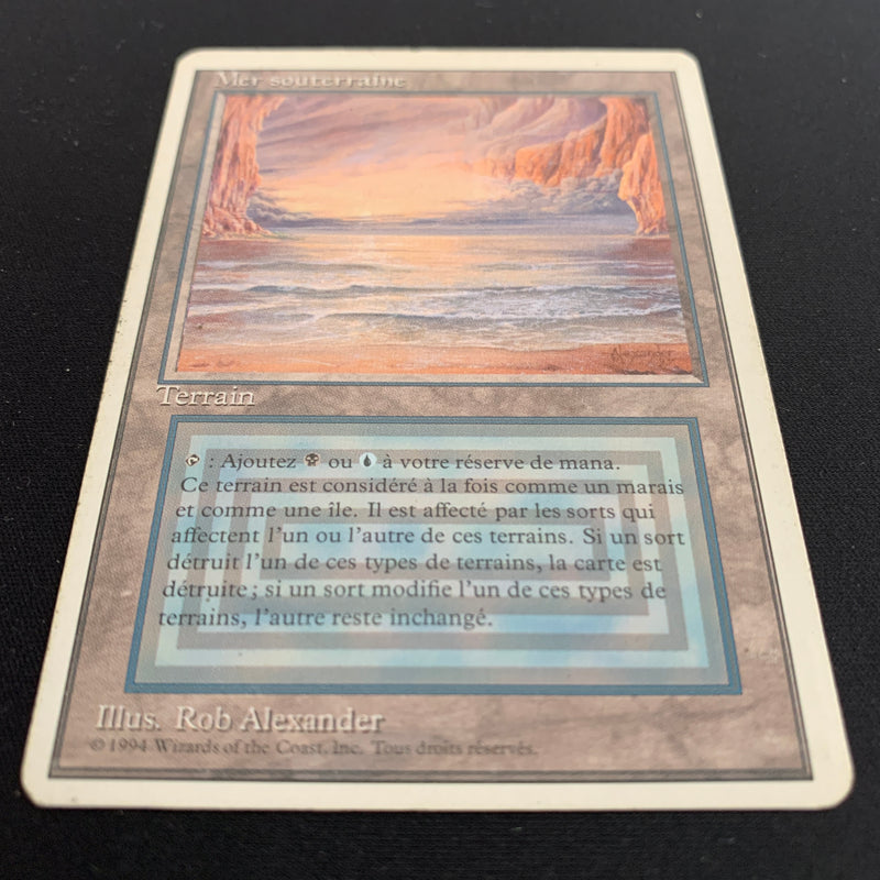 Magic the Gathering Underground Sea - Foreign White Bordered - French 