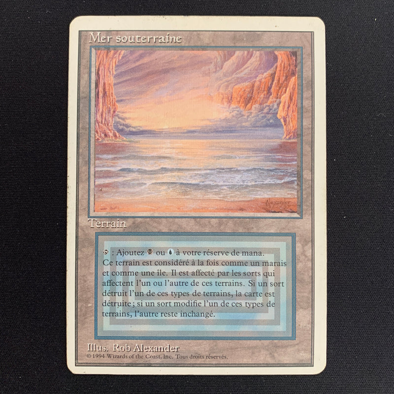 Magic the Gathering Underground Sea - Foreign White Bordered - French 