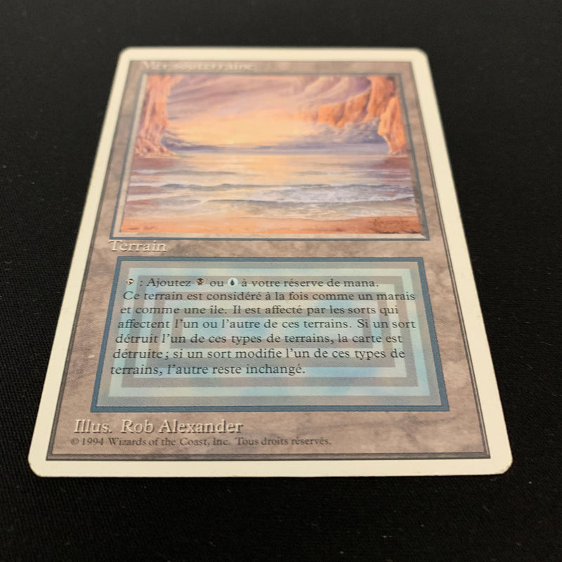 Magic the Gathering Underground Sea - Foreign White Bordered - French 