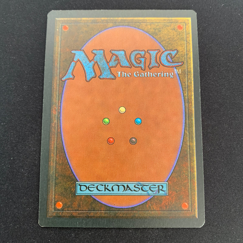 Magic the Gathering Volcanic Island - Foreign Black Bordered - German 