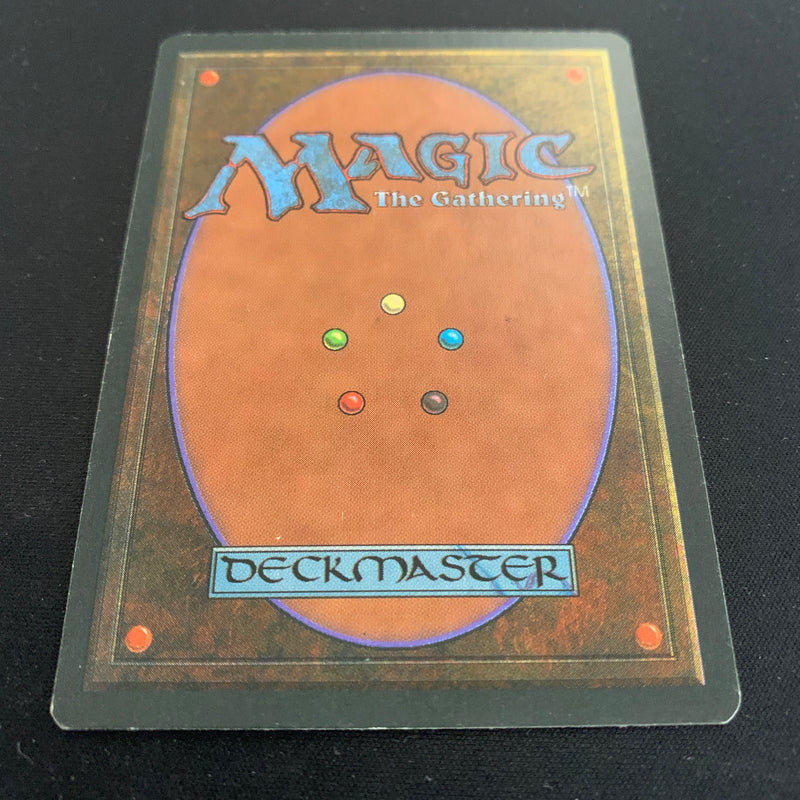 Magic the Gathering Volcanic Island - Foreign Black Bordered - German 