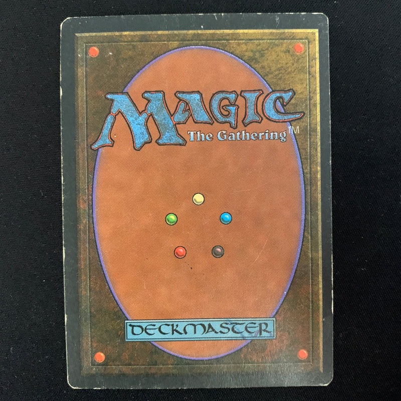 Magic the Gathering Volcanic Island - Foreign Black Bordered - German 