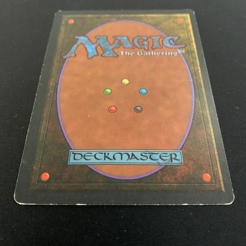 Magic the Gathering Wheel of Fortune - Revised 