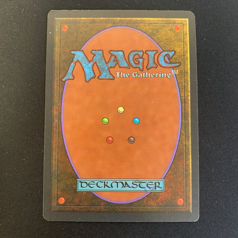 Magic the Gathering Wheel of Fortune - Revised 