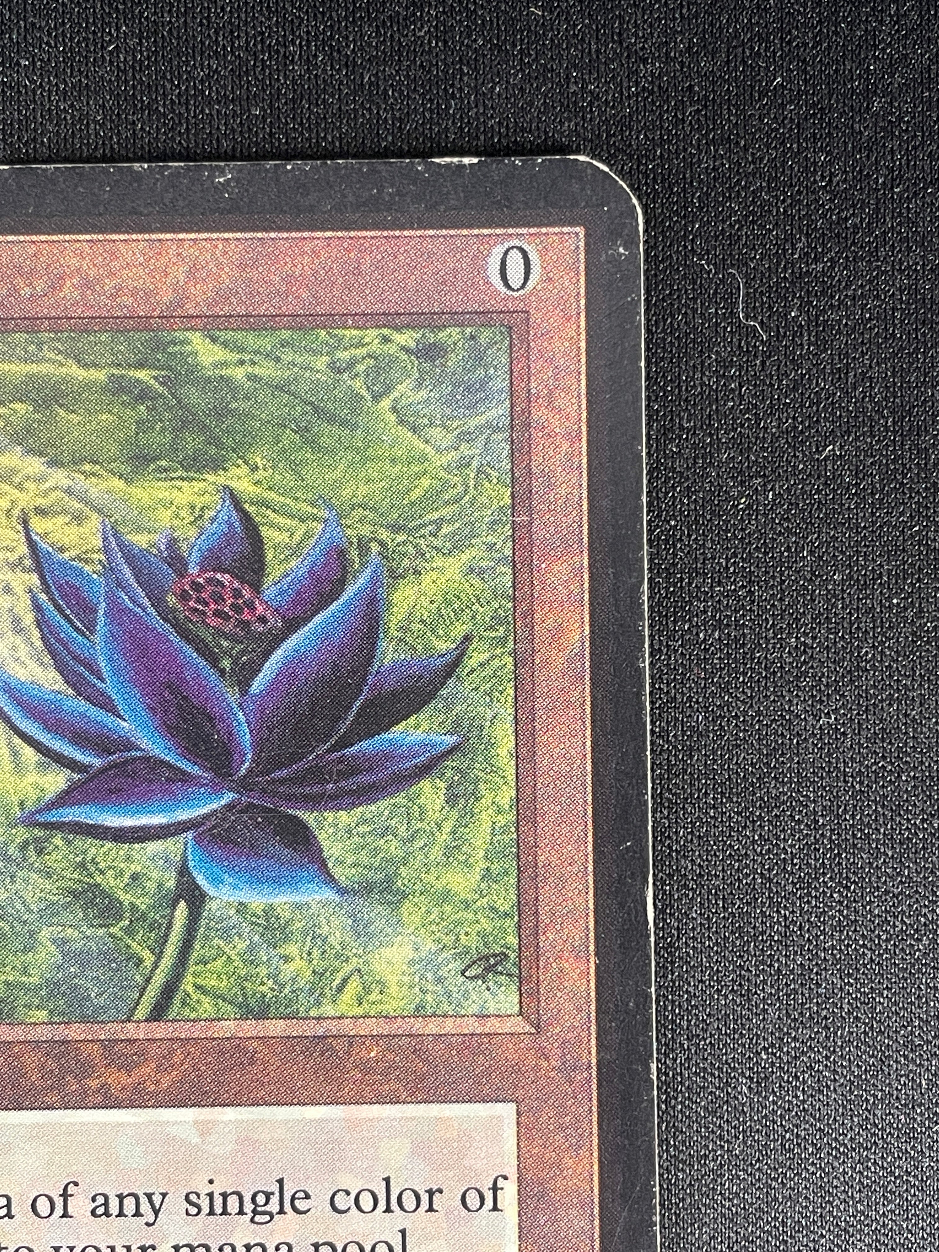 MTG Singles - Black Lotus - Alpha - 