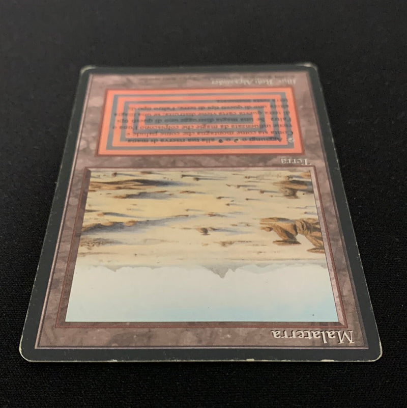 Magic the Gathering Badlands - Foreign Black Bordered - Italian 