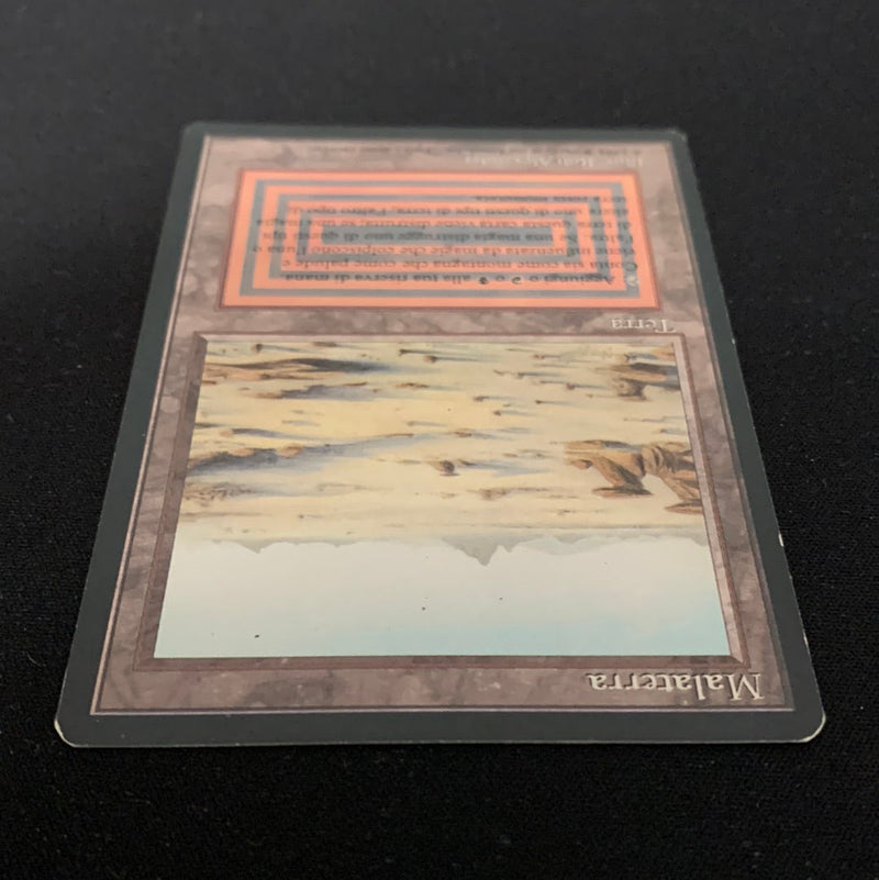 Magic the Gathering Badlands - Foreign Black Bordered - Italian 