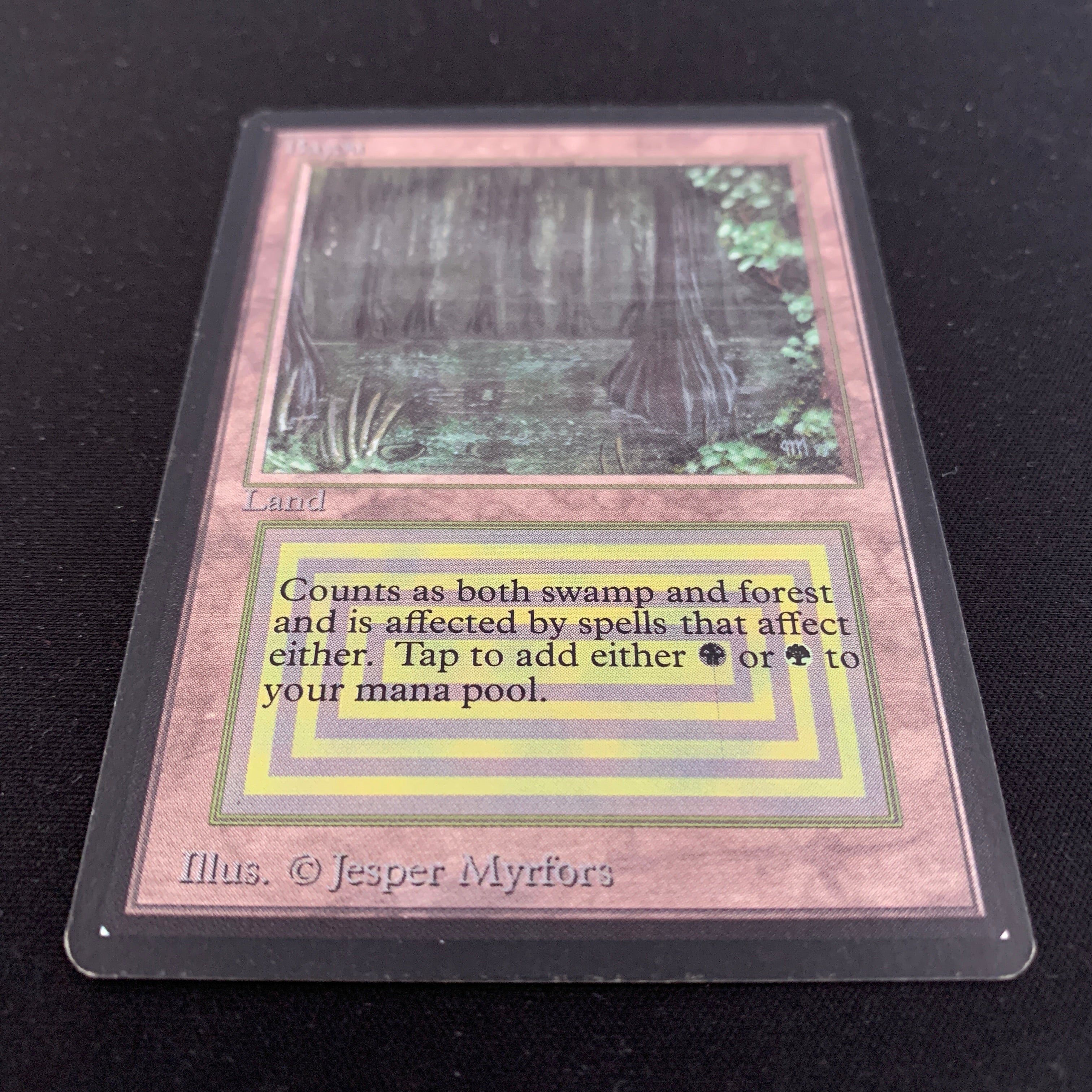 MTG Singles - Bayou - Beta - 