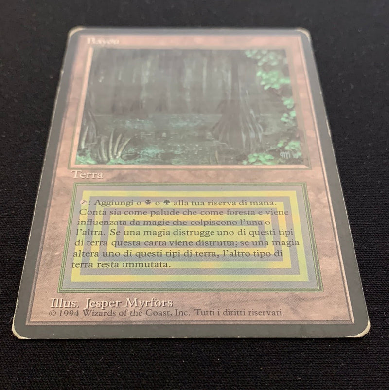 Magic the Gathering Bayou - Foreign Black Bordered - Italian 