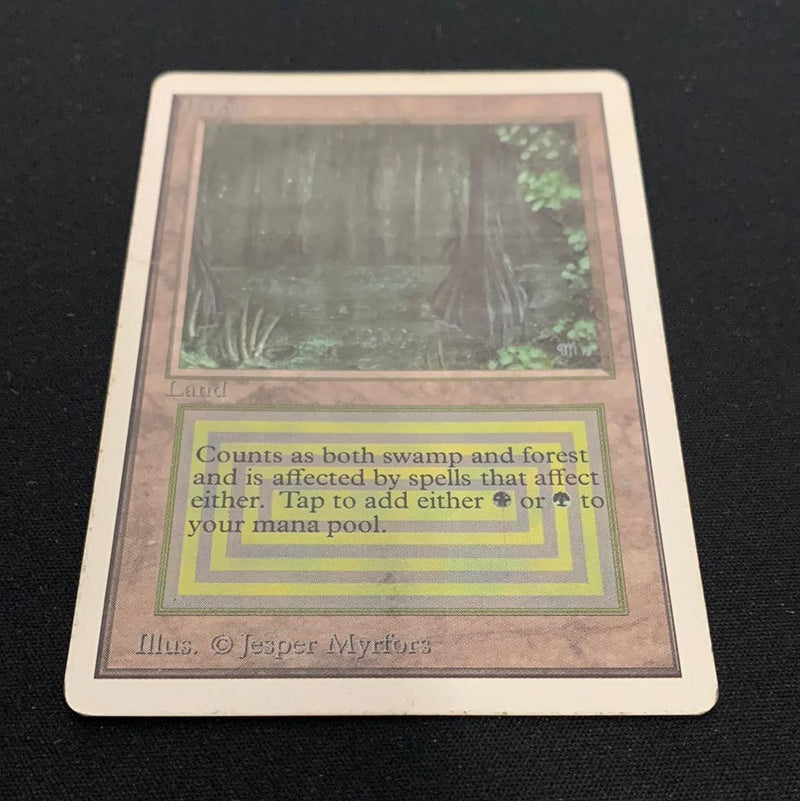 Magic the Gathering Bayou - Unlimited 